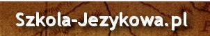 Tłumacz francuskiego , szkoła jezyków obcych Kraków e-learing, tłumaczenia francuski Kazania i homilie