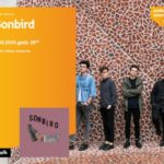 Sonbird w salonie Empik Silesia