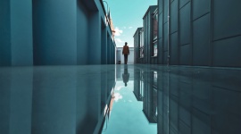 Silna reprezentacja polskich twórców w finale konkursu Huawei Next-Image Awards BIZNES, Kultura - Aż 41 fotografii wykonanych przez polskich autorów znalazło się w globalnym, finałowym etapie konkursu Huawei Next-Image Awards 2020. Powalczą oni o nagrody główne.